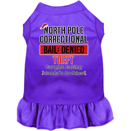 North Pole Correctional Screen Print Dog Dress Purple Size XS