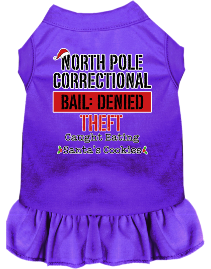 North Pole Correctional Screen Print Dog Dress Purple Size XS