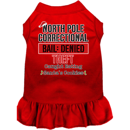 North Pole Correctional Screen Print Dog Dress Red Size XS