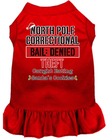 North Pole Correctional Screen Print Dog Dress Red Size XS
