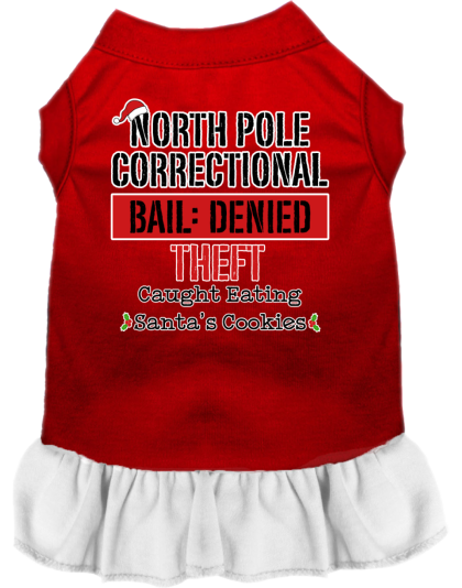North Pole Correctional Screen Print Dog Dress Red with White Size XS