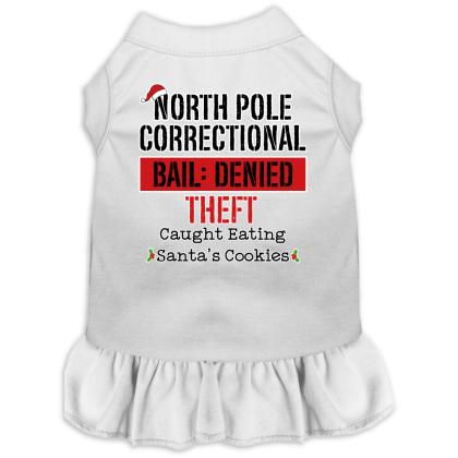 North Pole Correctional Screen Print Dog Dress White Size XS