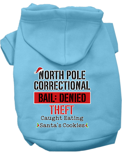 North Pole Correctional Screen Print Dog Hoodie Baby Blue Size XS