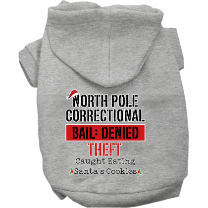 North Pole Correctional Screen Print Dog Hoodie Grey Size XS