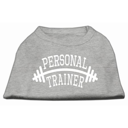 Personal Trainer Screen Print Shirt Grey Lg