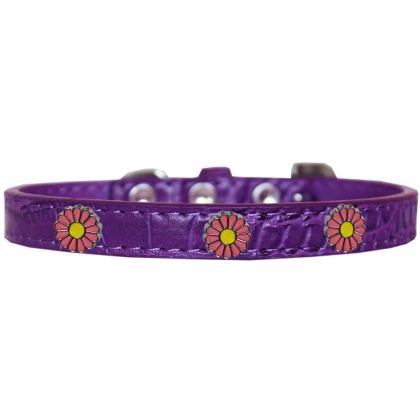 Pink Daisy Widget Croc Dog Collar Purple Size 10