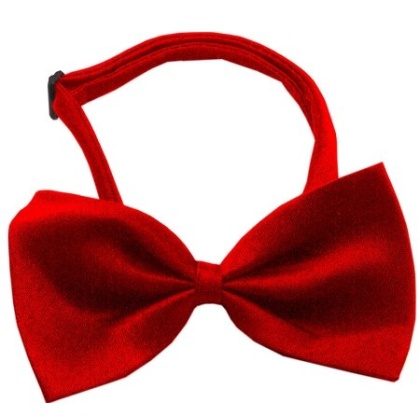 Plain Red Bow Tie