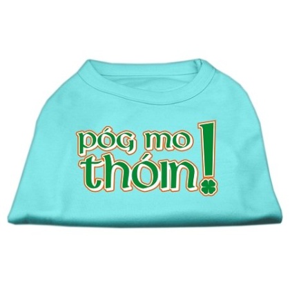 Pog Mo Thoin Screen Print Shirt Aqua Lg