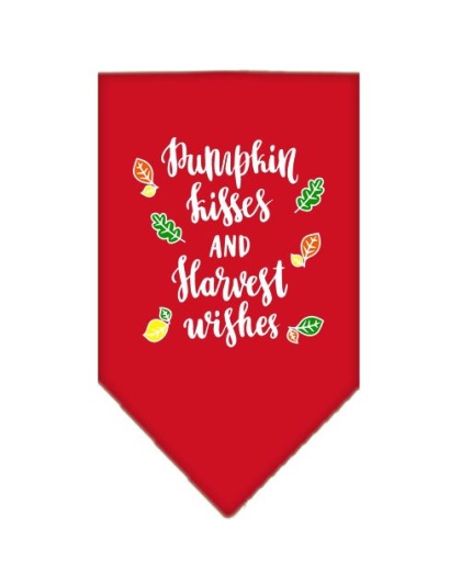 Pumpkin Kisses Screen Print Bandana Red Large