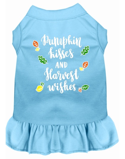 Pumpkin Kisses Screen Print Dog Dress Baby Blue 4X (22)