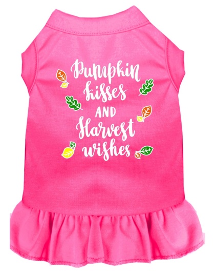 Pumpkin Kisses Screen Print Dog Dress Bright Pink 4X (22)