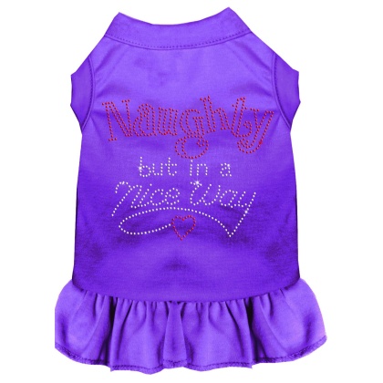 Rhinestone Naughty but in a nice way Dress Purple 4X