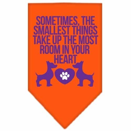 Smallest Things Screen Print Bandana Orange Large