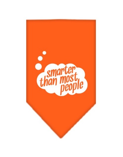 Smarter then most People Screen Print Bandana Orange Large