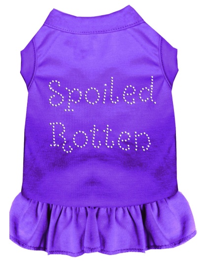 Spoiled Rotten Rhinestone Dress Purple 4X