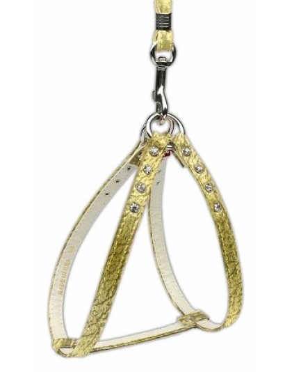 Step-In Harness Gold w/ AB Stones 10