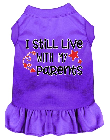 Still Live with my Parents Screen Print Dog Dress Purple 4X (22)