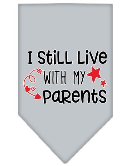 Still Live with my Parents Screen Print Pet Bandana Grey Large