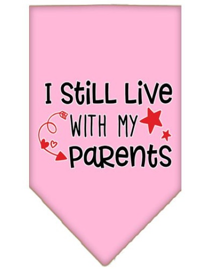 Still Live with my Parents Screen Print Pet Bandana Light Pink Large