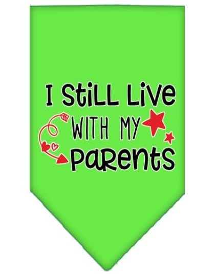Still Live with my Parents Screen Print Pet Bandana Lime Green Large