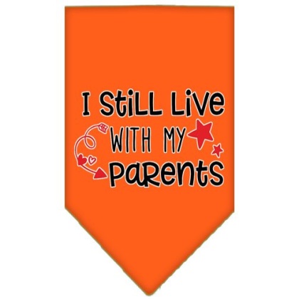Still Live with my Parents Screen Print Pet Bandana Orange Large