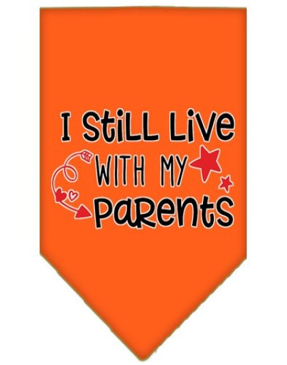 Still Live with my Parents Screen Print Pet Bandana Orange Large