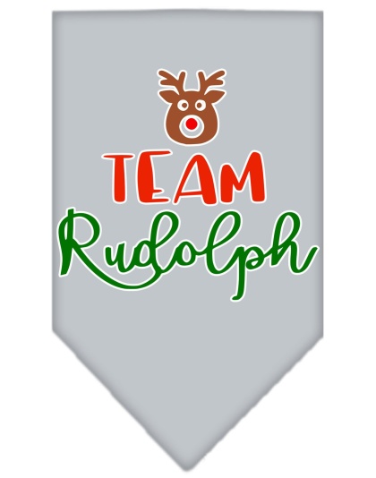 Team Rudolph Screen Print Bandana Grey Large