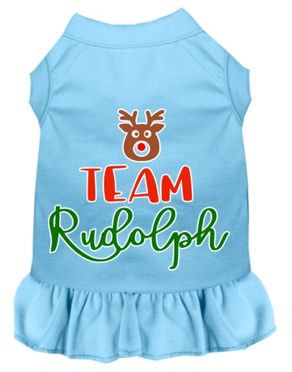 Team Rudolph Screen Print Dog Dress Baby Blue 4X