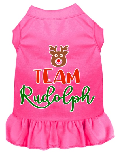 Team Rudolph Screen Print Dog Dress Bright Pink 4X