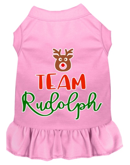 Team Rudolph Screen Print Dog Dress Light Pink 4X