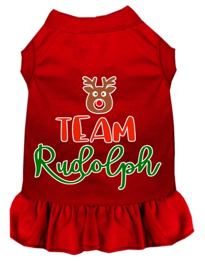 Team Rudolph Screen Print Dog Dress Red 4X