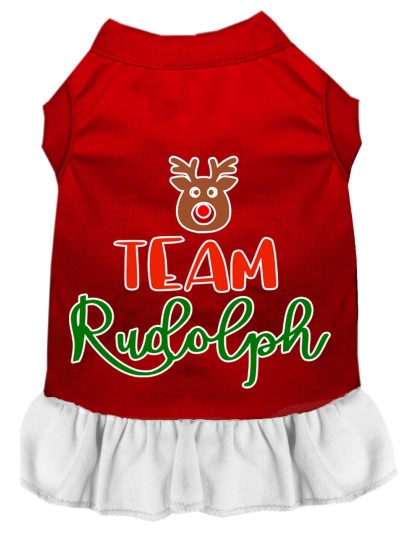 Team Rudolph Screen Print Dog Dress Red with White Lg