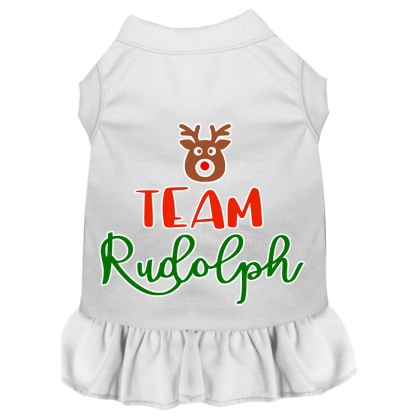 Team Rudolph Screen Print Dog Dress White 4X