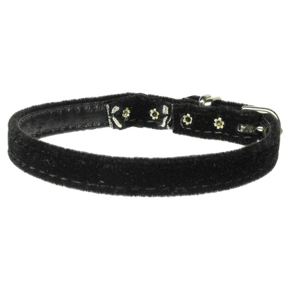 Velvet 3/8" Plain Cat Collar w/ Band Black 10