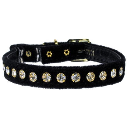 Velvet Cat Safety w/Band Collar Black 10