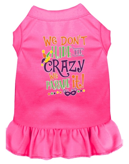 We Don't Hide the Crazy Screen Print Mardi Gras Dog Dress Bright Pink 4X