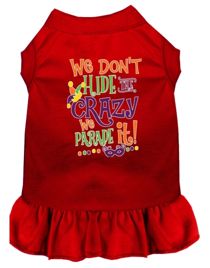 We Don't Hide the Crazy Screen Print Mardi Gras Dog Dress Red 4X