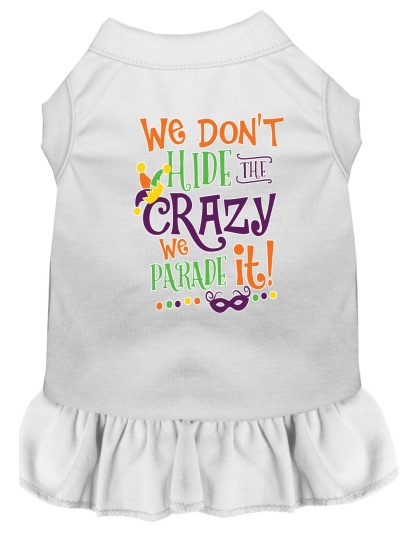 We Don't Hide the Crazy Screen Print Mardi Gras Dog Dress White 4X