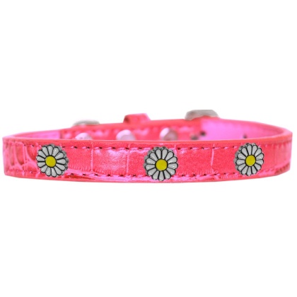 White Daisy Widget Croc Dog Collar Bright Pink Size 10