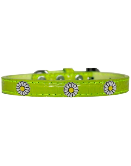 White Daisy Widget Croc Dog Collar Lime Green Size 10