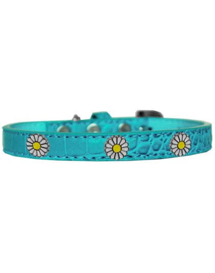 White Daisy Widget Croc Dog Collar Turquoise Size 10