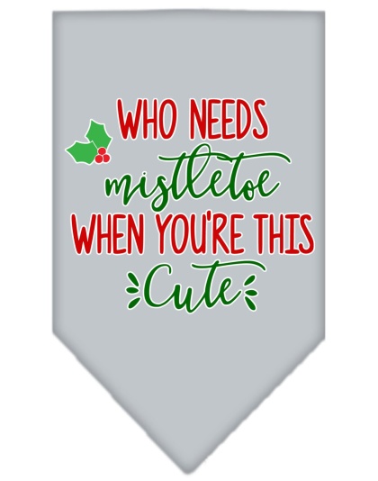 Who Needs Mistletoe Screen Print Bandana Grey Large