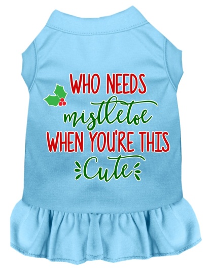 Who Needs Mistletoe Screen Print Dog Dress Baby Blue 4X