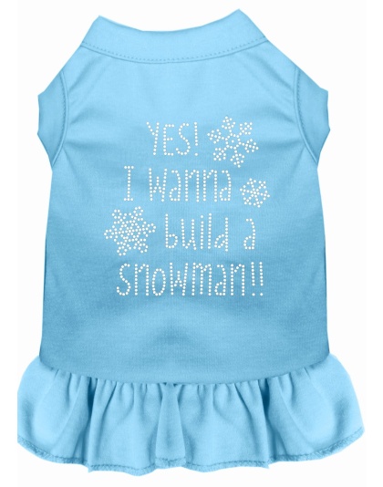 Yes! I want to Build a Snowman Rhinestone Dog Dress Baby Blue 4X