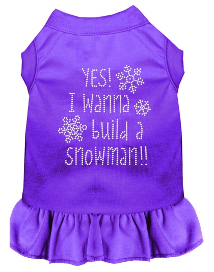 Yes! I want to Build a Snowman Rhinestone Dog Dress Purple 4X