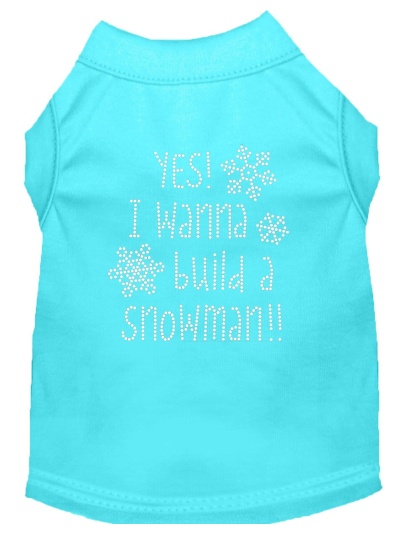 Yes! I want to build a Snowman Rhinestone Dog Shirt Aqua Lg