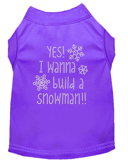 Yes! I want to build a Snowman Rhinestone Dog Shirt Purple Lg