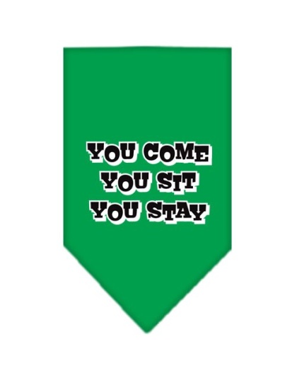 You Come, You Sit, You Stay Screen Print Bandana Emerald Green Large