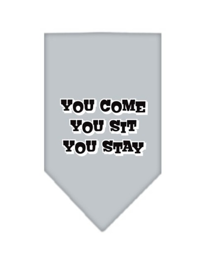 You Come, You Sit, You Stay Screen Print Bandana Grey Large
