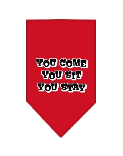 You Come, You Sit, You Stay Screen Print Bandana Red Large